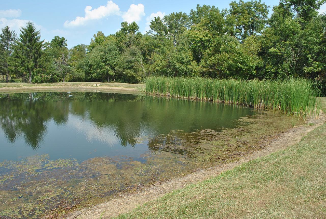 Wilmington Camping Resort Exterior foto